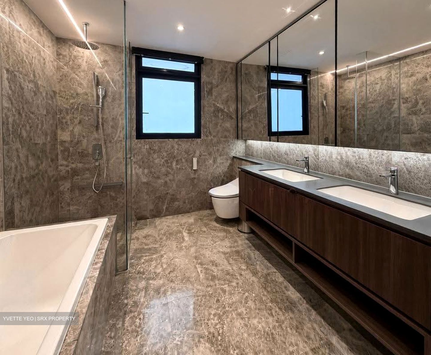 Kopar At Newton (D9), Apartment #636906941